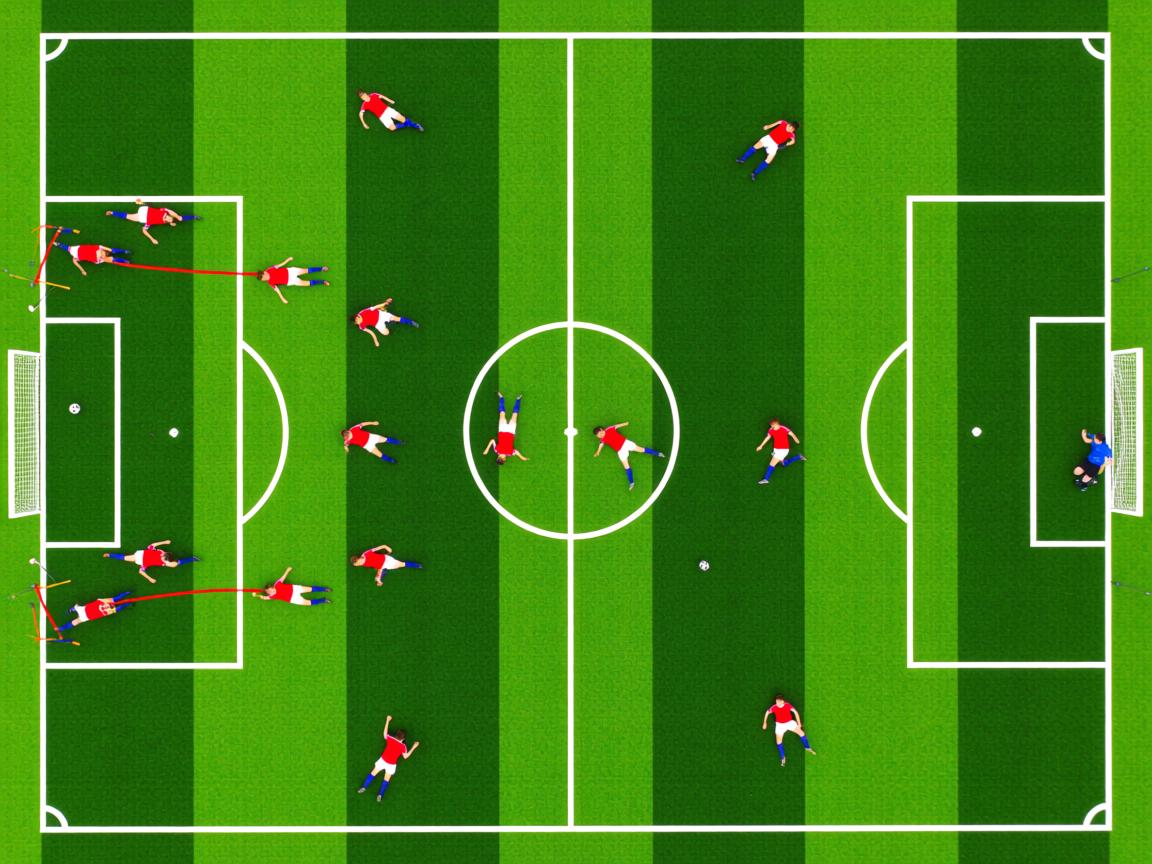 开云体育官网上-体育医疗志愿队参加国家应急演练，体育展示颁奖应急预案  第3张